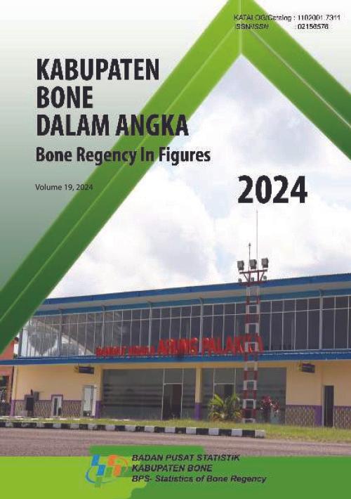 Bone Regency in Figures 2024