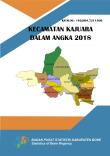 Kajuara Subdistrict In Figures 2018