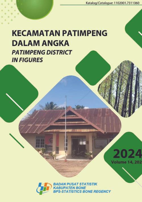 Patimpeng District in Figures 2024